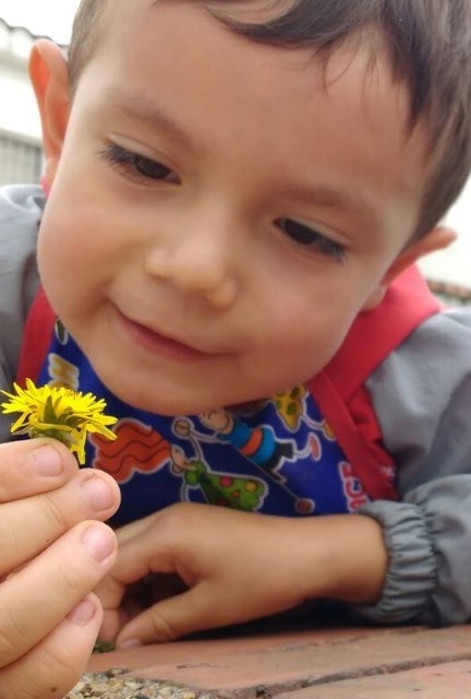 Avanzados kinder